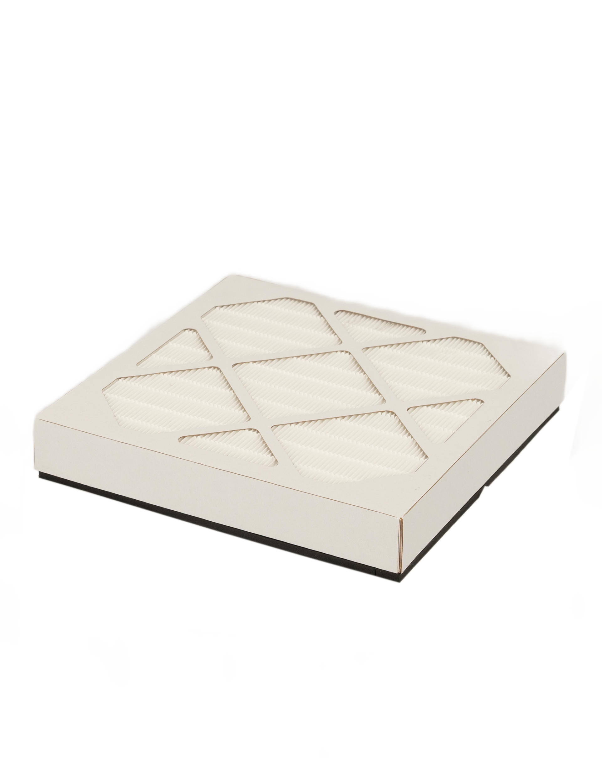 Replacement Filter FA100-2 | Fits Model FA1-E